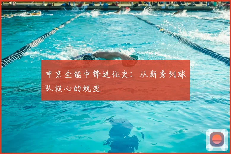 申京全能中锋进化史:从新秀到球队核心的蜕变