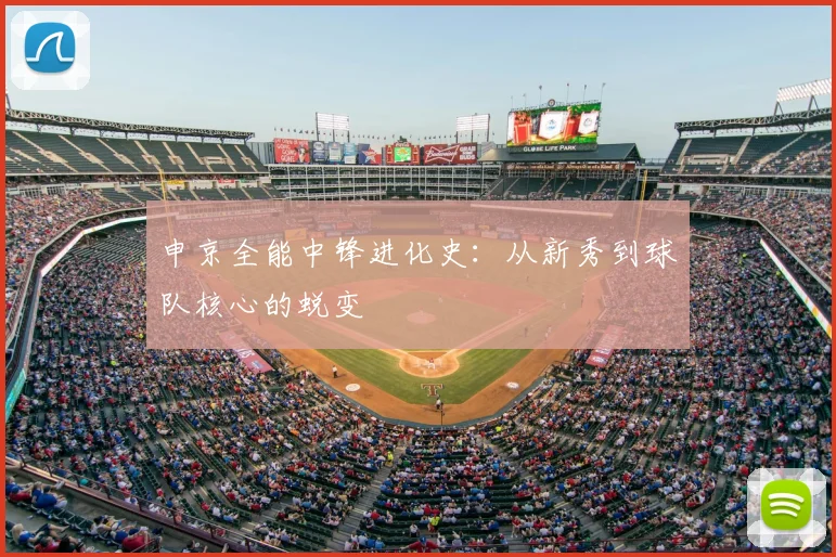 申京全能中锋进化史：从新秀到球队核心的蜕变